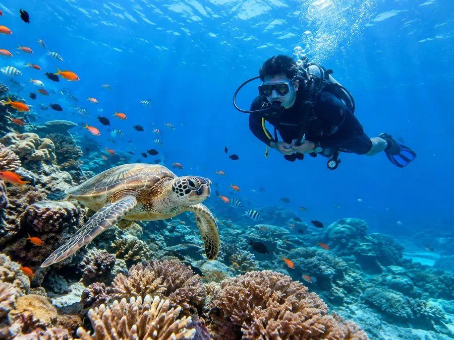 BLUE MARLIN GILI TRAWANGAN — Diving di Gili Trawangan