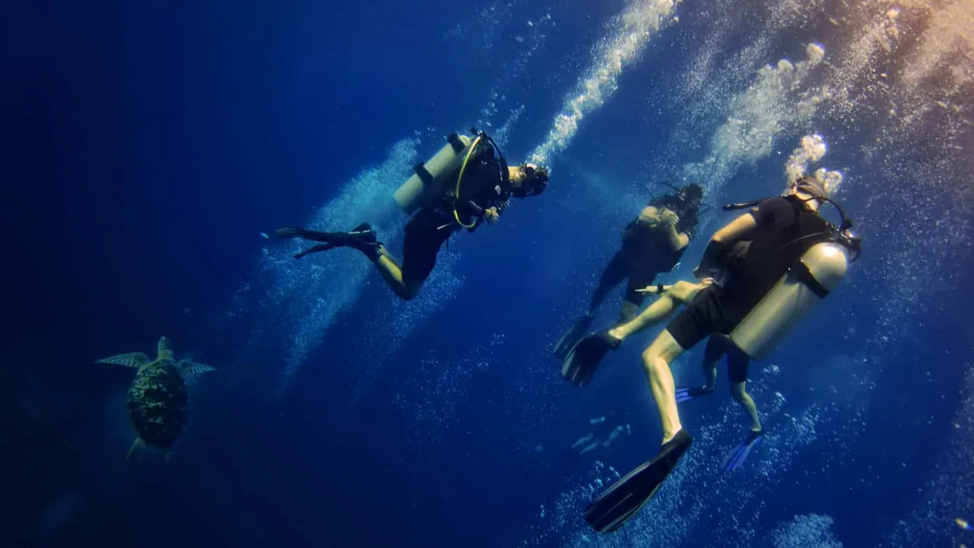 TRAWANGAN DIVE — Diving di Gili Trawangan