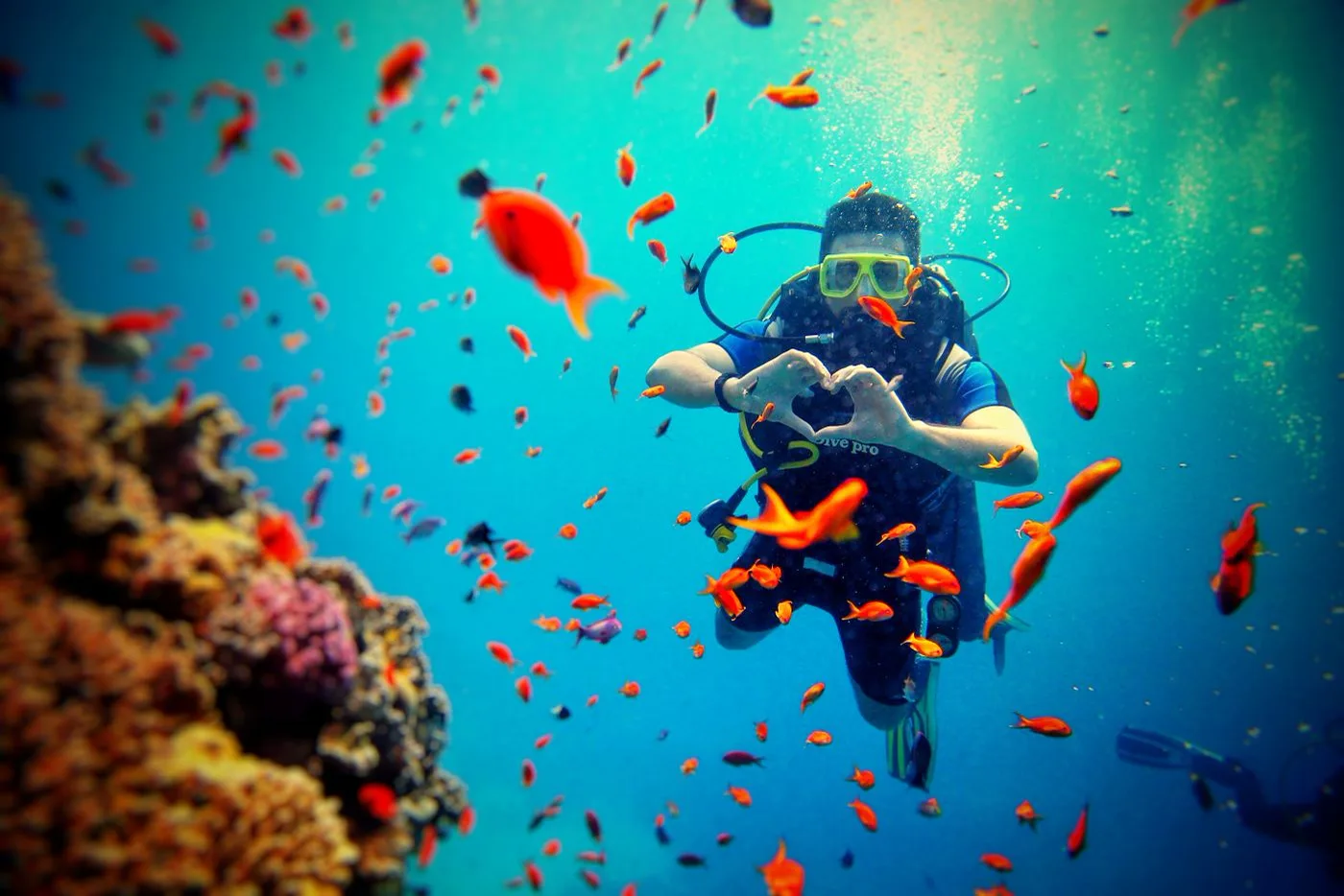 2 Dives Spec — Diving di Gili Trawangan