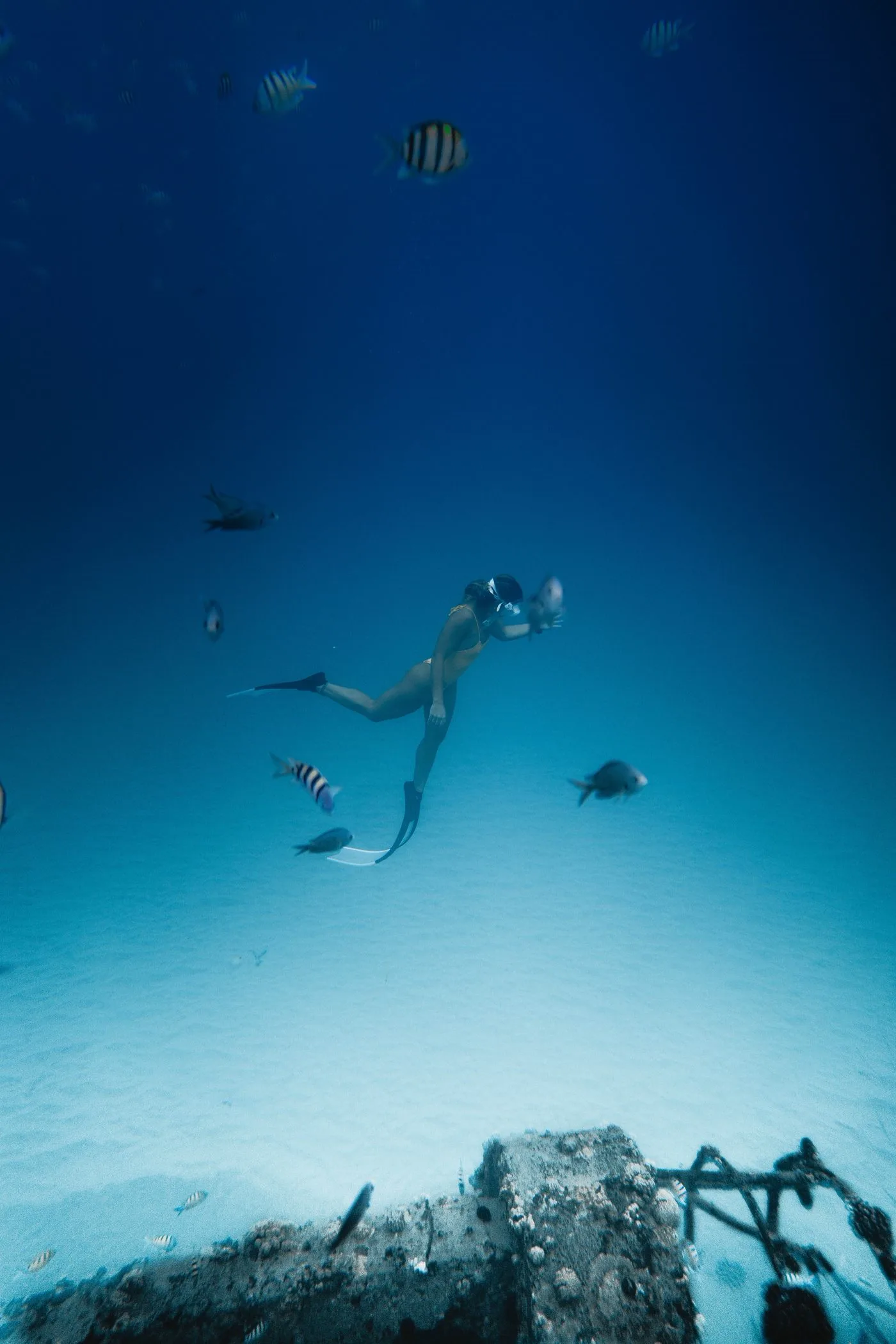 Advance Open Water — Diving di Gili Trawangan