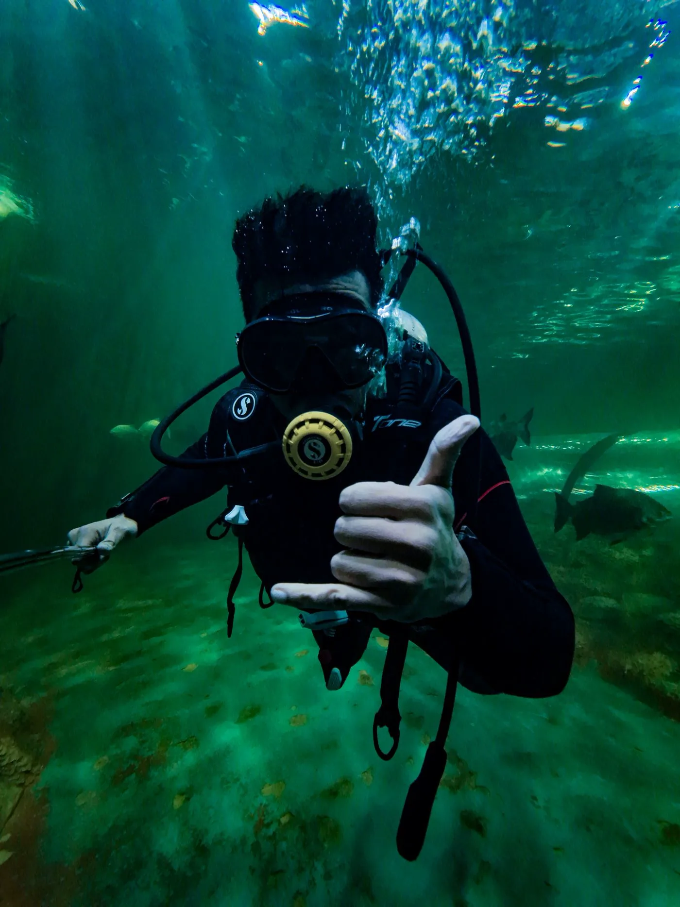 Advanced To DM (No EFR) — Diving di Gili Trawangan