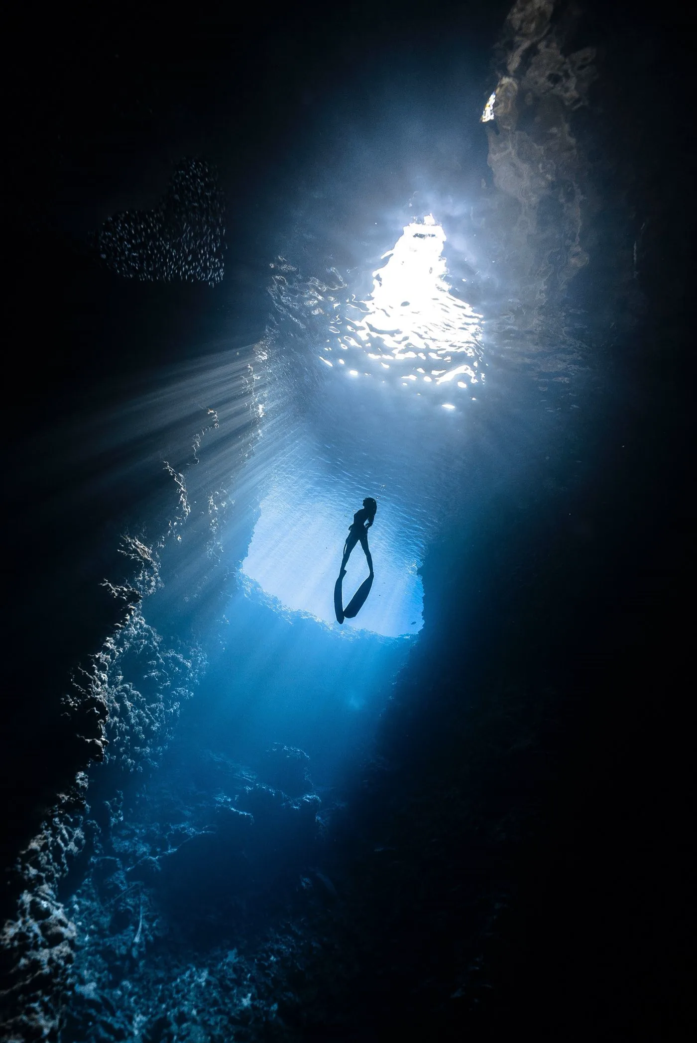Night Dive — Diving di Gili Trawangan