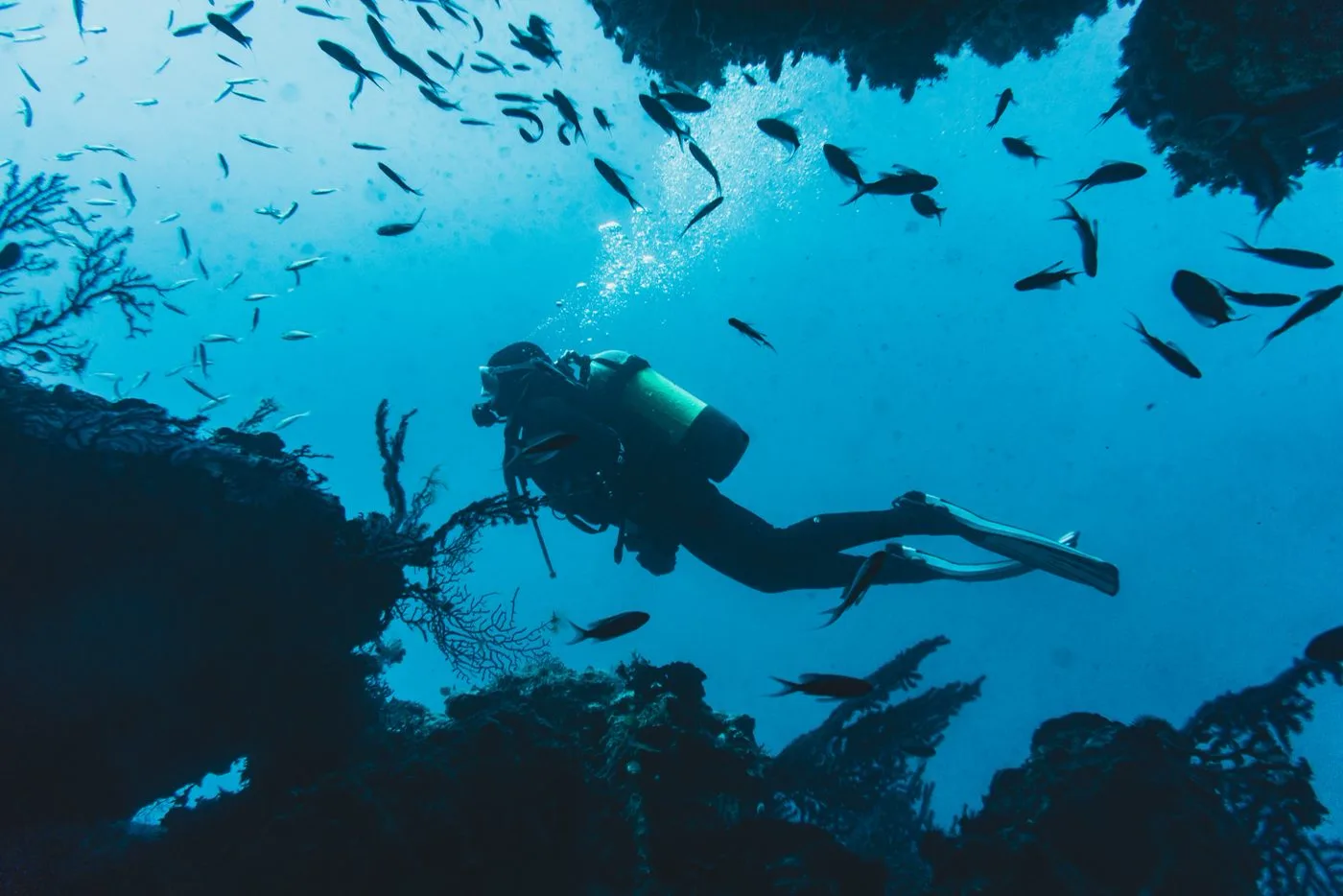 Rescue To DM (No EFR) — Diving di Gili Trawangan
