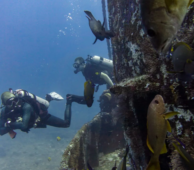 Fun Dive 10 Dives (-20%) — Diving di Gili Trawangan