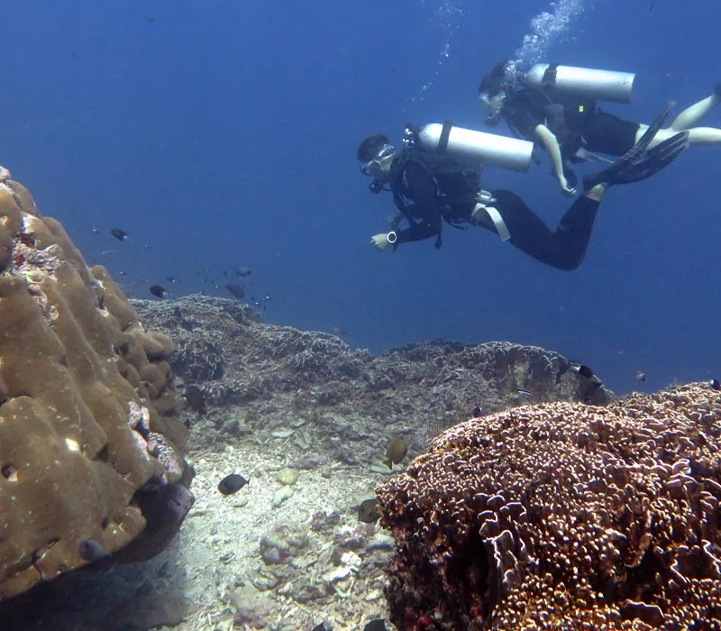 Fun Dive 4 Dives (-10%) — Diving di Gili Trawangan