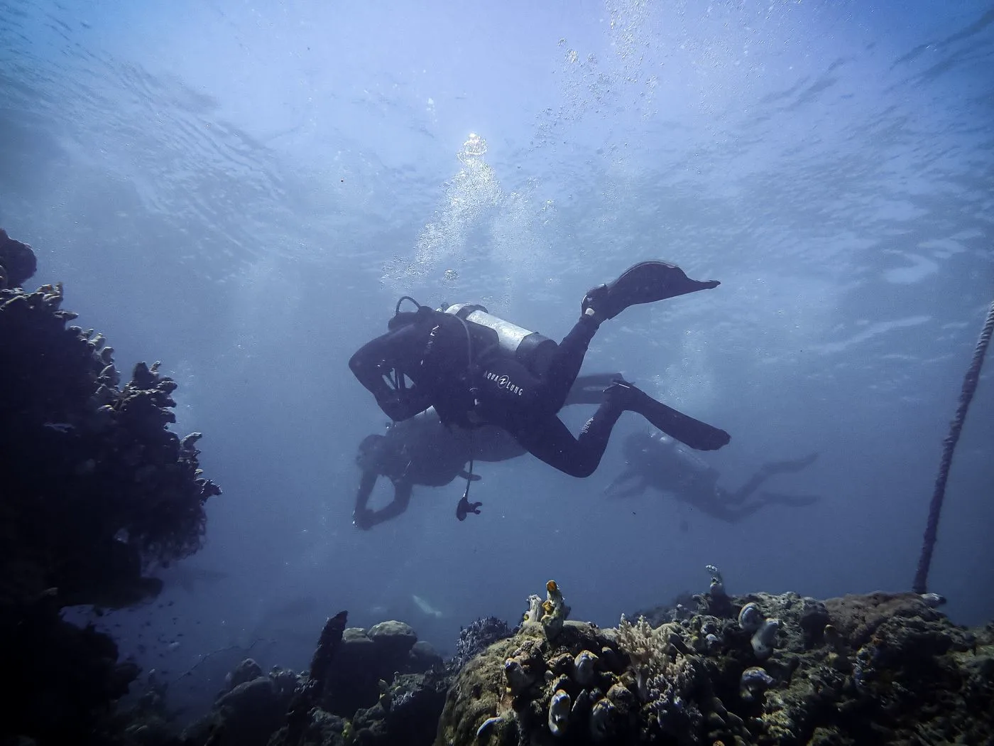 Night Dive — Diving di Gili Trawangan