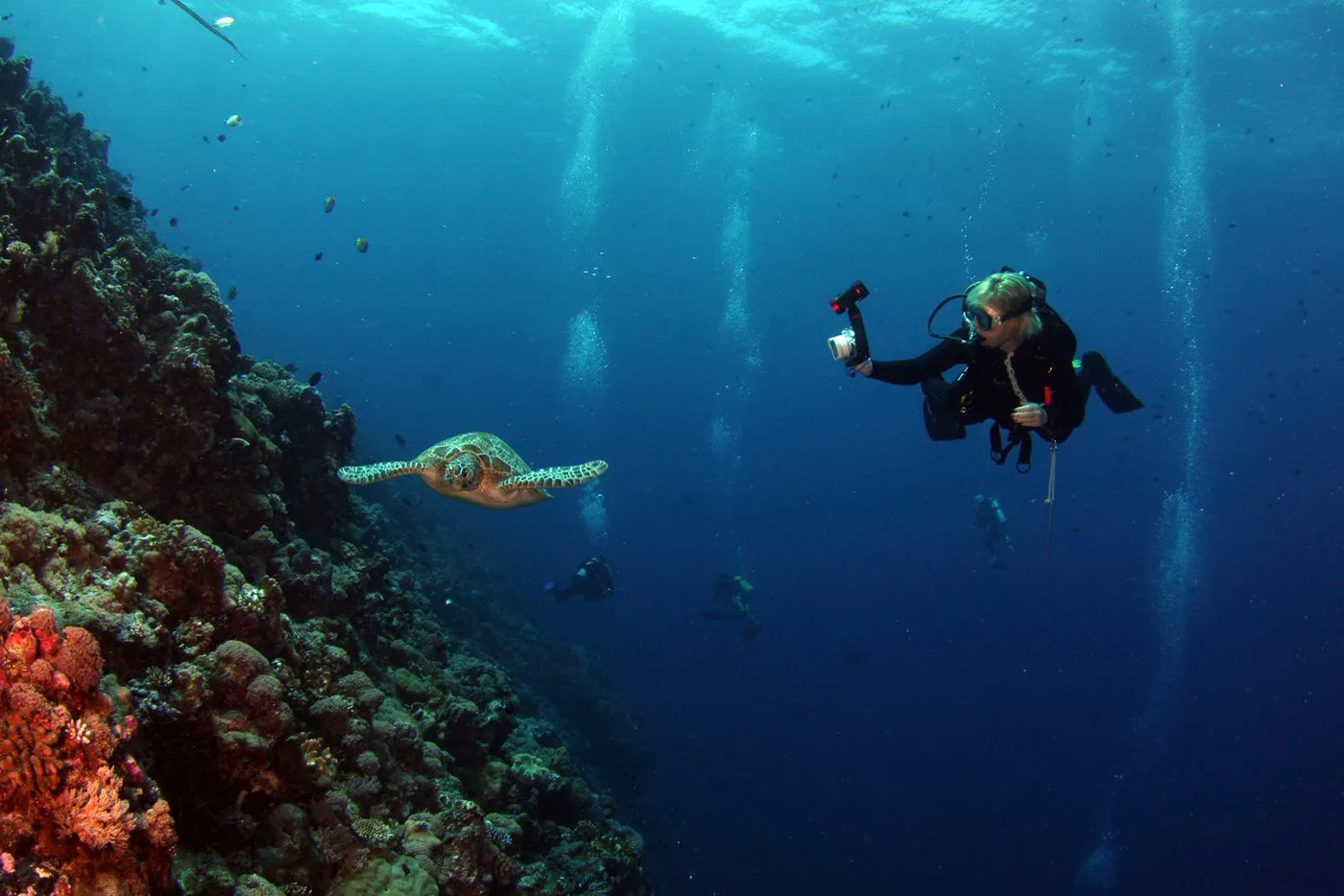 Private Guide — Diving di Gili Trawangan