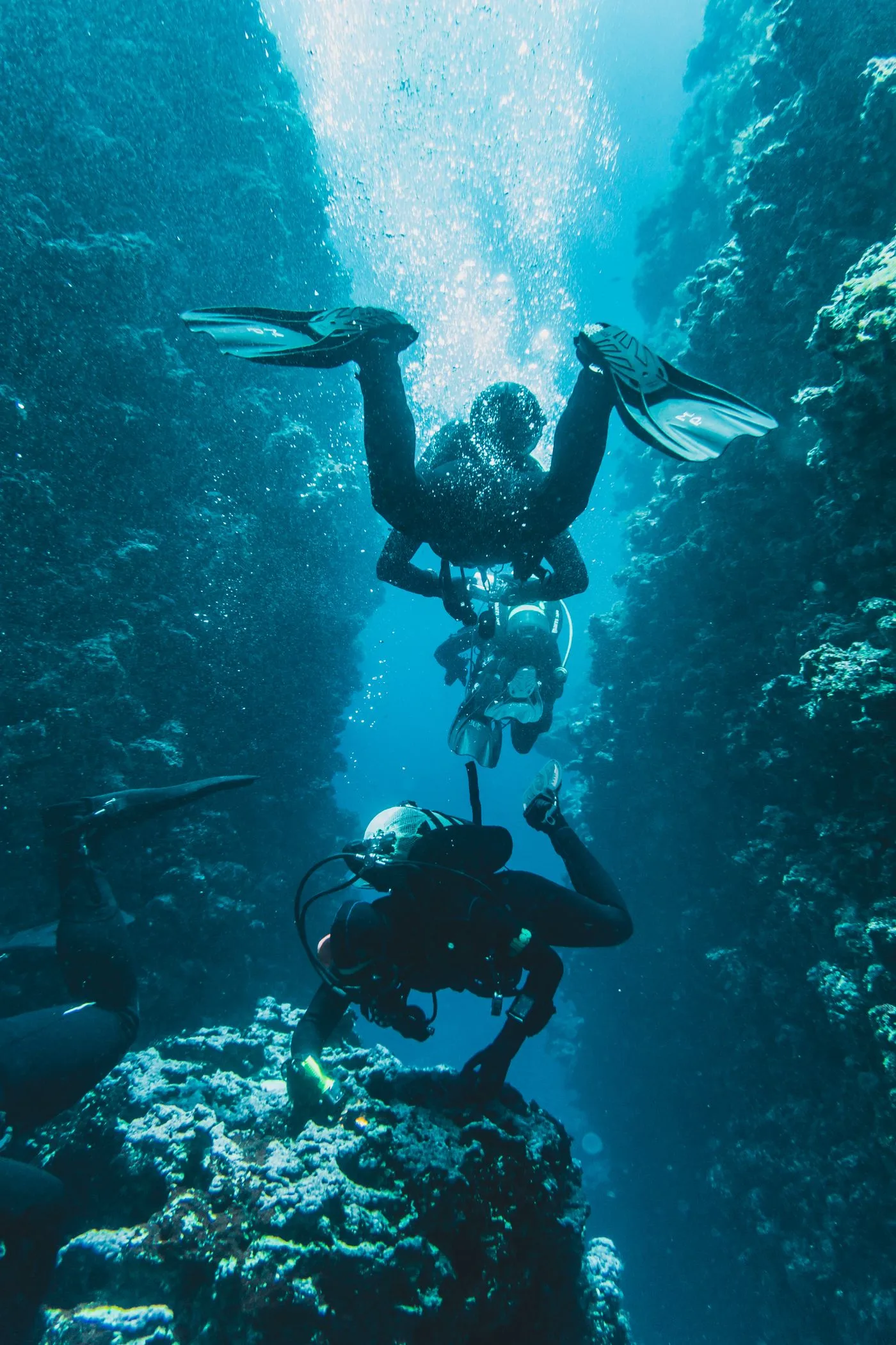 Search & Recovery Diver — Diving di Gili Trawangan