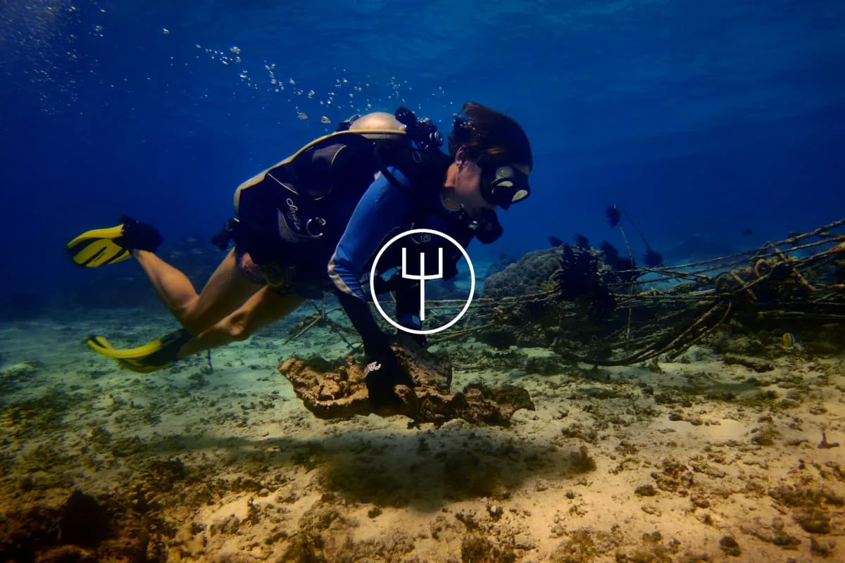 Ocean Quest Coral Propagation Course — Diving di Gili Trawangan