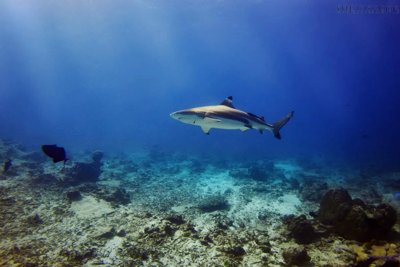 PADI Deep Diver — Diving di Gili Trawangan