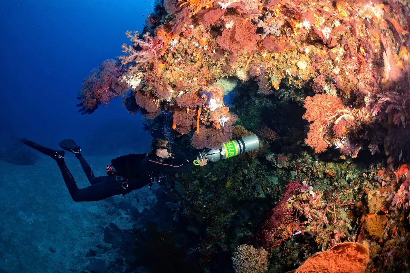 PADI Enriched Air Diver (Nitrox) — Diving di Gili Trawangan