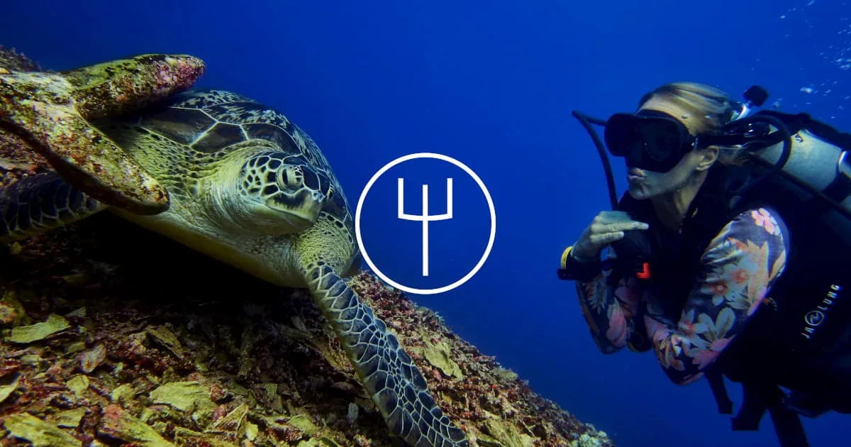 Guided Boat Fun Dive — Diving di Gili Trawangan