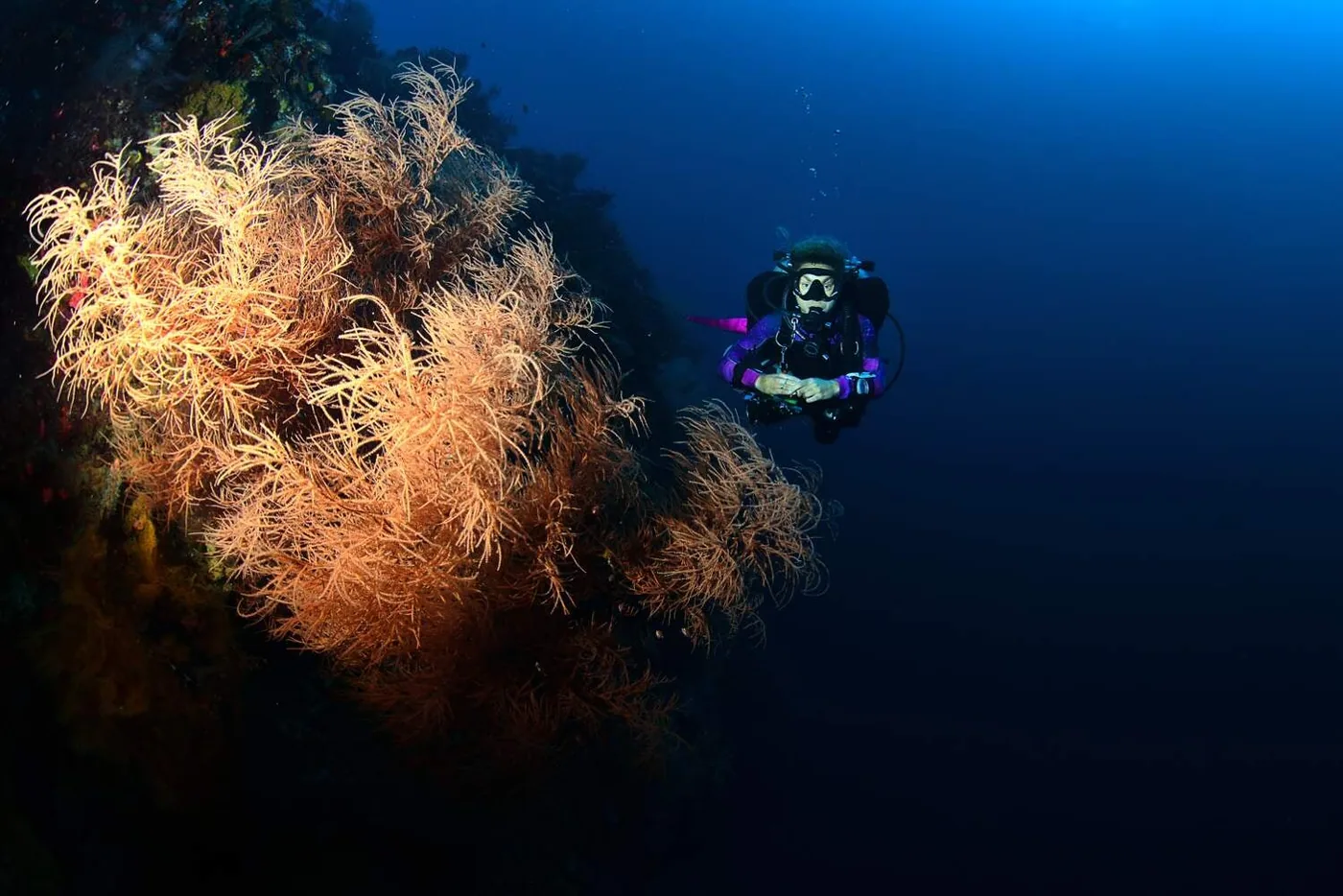 Guided Tech Dive – Expedition — Diving di Gili Trawangan