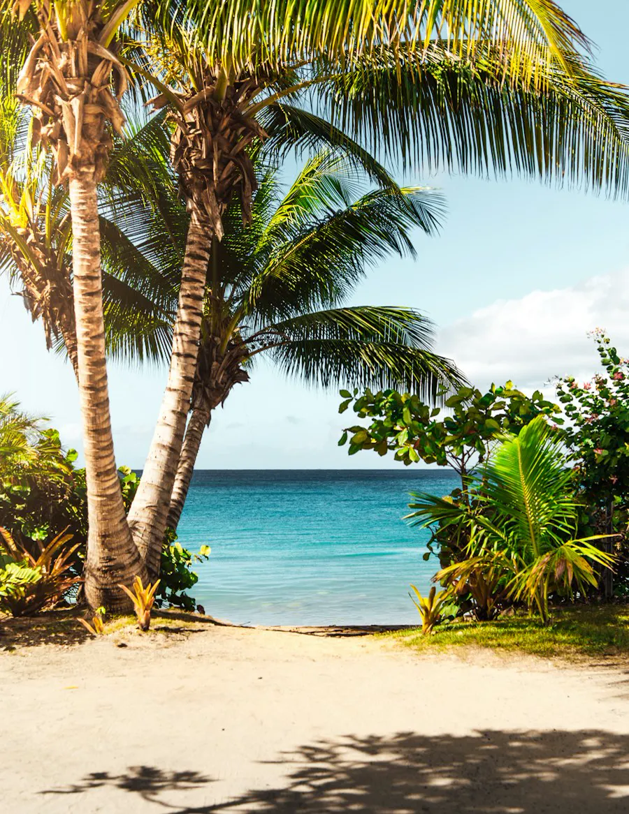 Beach Explore Half Day — Beach Explore di Gili Trawangan