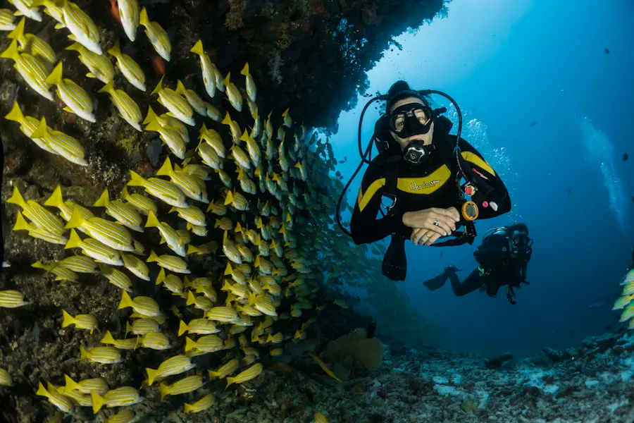 SNORKELING — Snorkeling di Gili Trawangan
