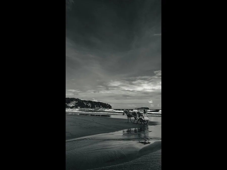 Horse Cart Sunset 90 Menit — Horse Riding di Gili Trawangan