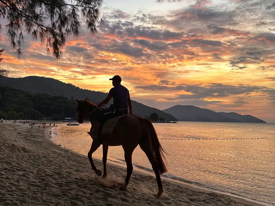 Horse Riding Private Sunset — Horse Riding di Gili Trawangan