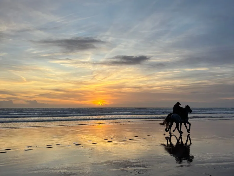 Horse Riding Sunset + Foto Profesional — Horse Riding di Gili Trawangan