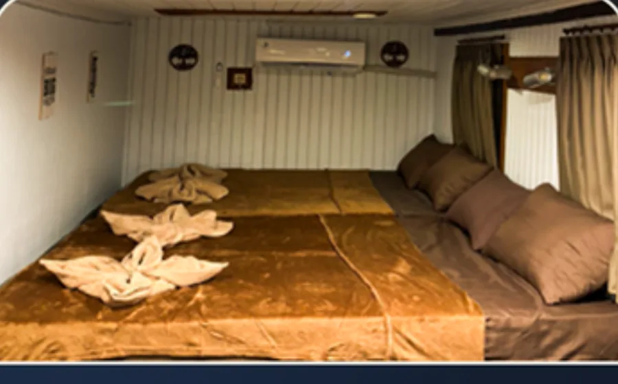 Sharing Cabin — Komodo Tour di Gili Trawangan